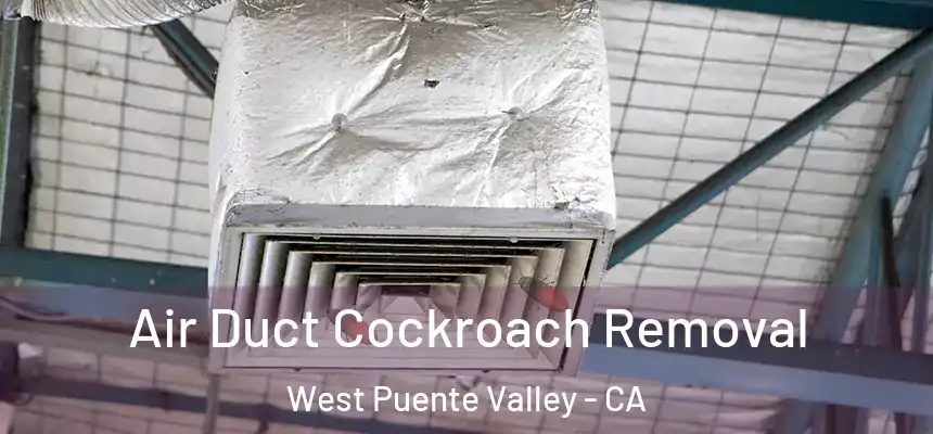 Air Duct Cockroach Removal West Puente Valley - CA