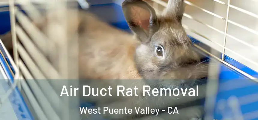 Air Duct Rat Removal West Puente Valley - CA