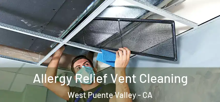 Allergy Relief Vent Cleaning West Puente Valley - CA