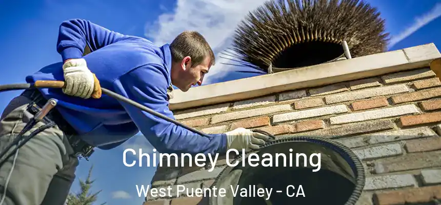  Chimney Cleaning West Puente Valley - CA