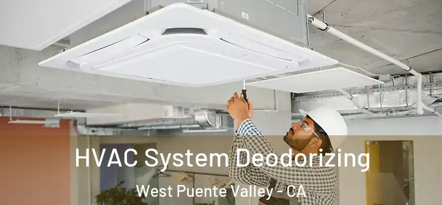  HVAC System Deodorizing West Puente Valley - CA