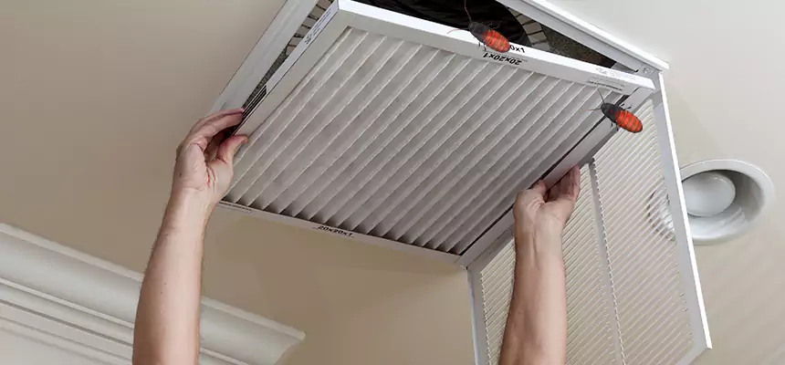 Preventive Cockroach-Proofing for Ducts in West Puente Valley