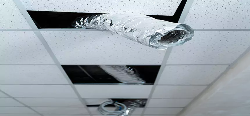 Our Air Duct Pet Hair Removal Services in West Puente Valley, CA