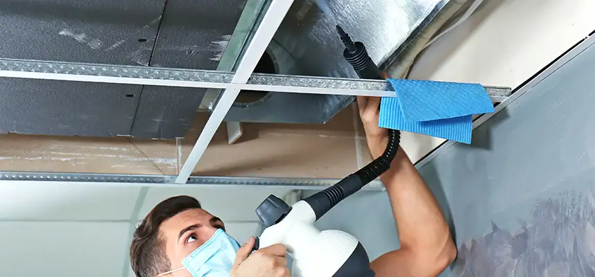 Our Air Duct Rodent Removal Services in West Puente Valley, CA