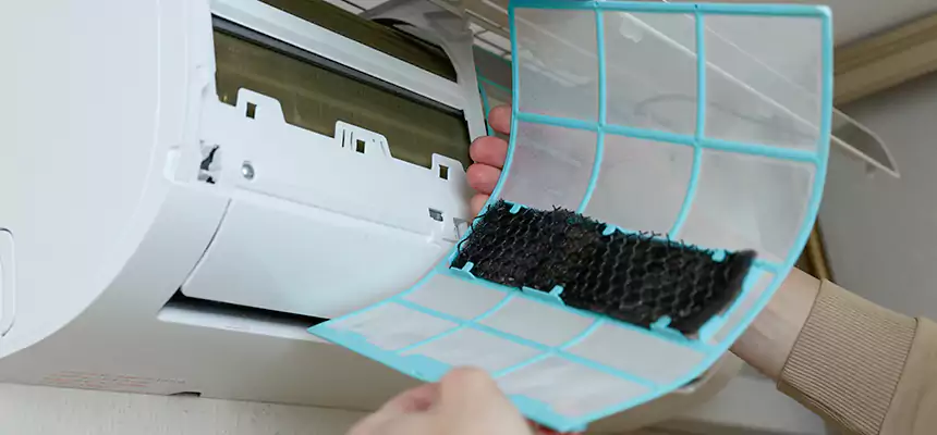 Gentle Ductwork Odor-Control Pet Dander Duct Cleaning in West Puente Valley, CA