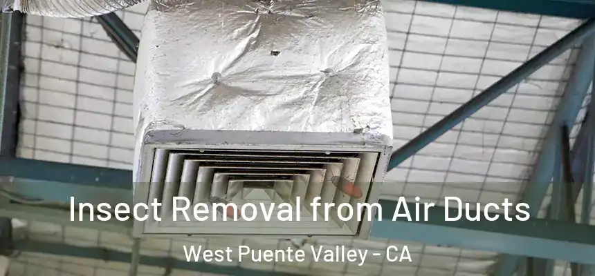 Insect Removal from Air Ducts West Puente Valley - CA