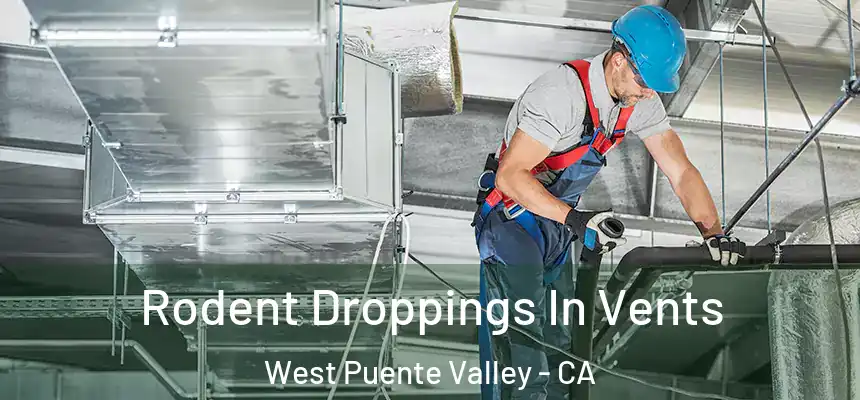 Rodent Droppings In Vents West Puente Valley - CA