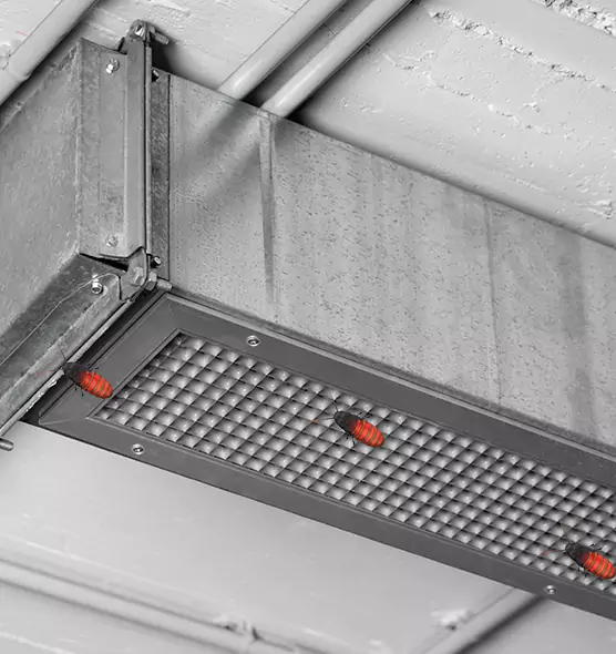 Affordable Insect Removal from Air Ducts in West Puente Valley, CA