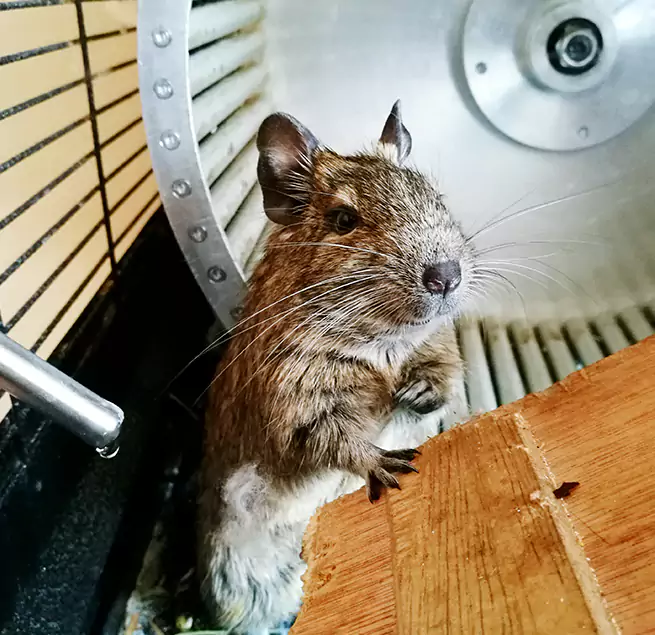 Why Homeowners & Businesses Trust Us West Puente Valley, CA