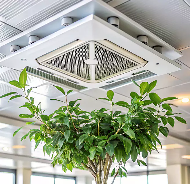 Why Homeowners & Businesses Trust Us in West Puente Valley, CA